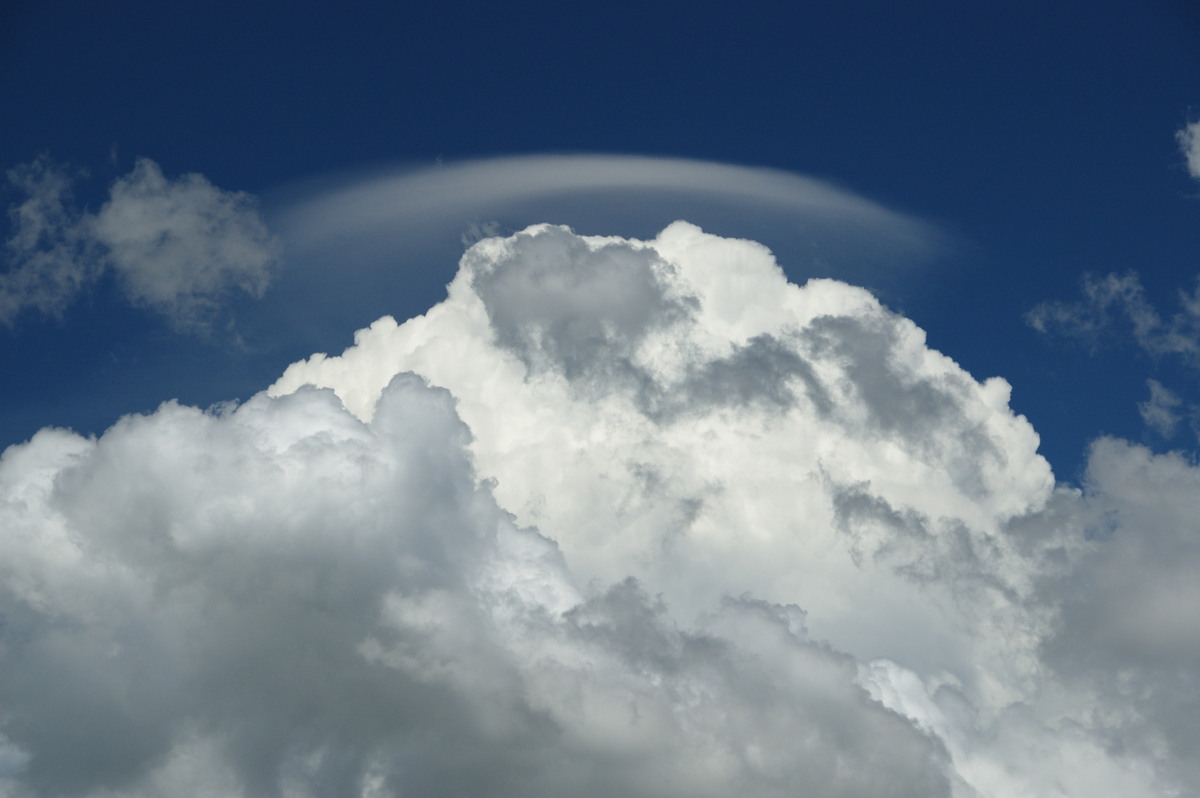 pileus pileus_cap_cloud : Tenterfield, NSW   24 January 2009