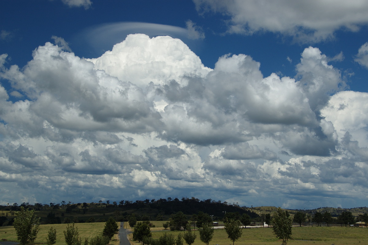 cumulus mediocris : Tenterfield, NSW   24 January 2009