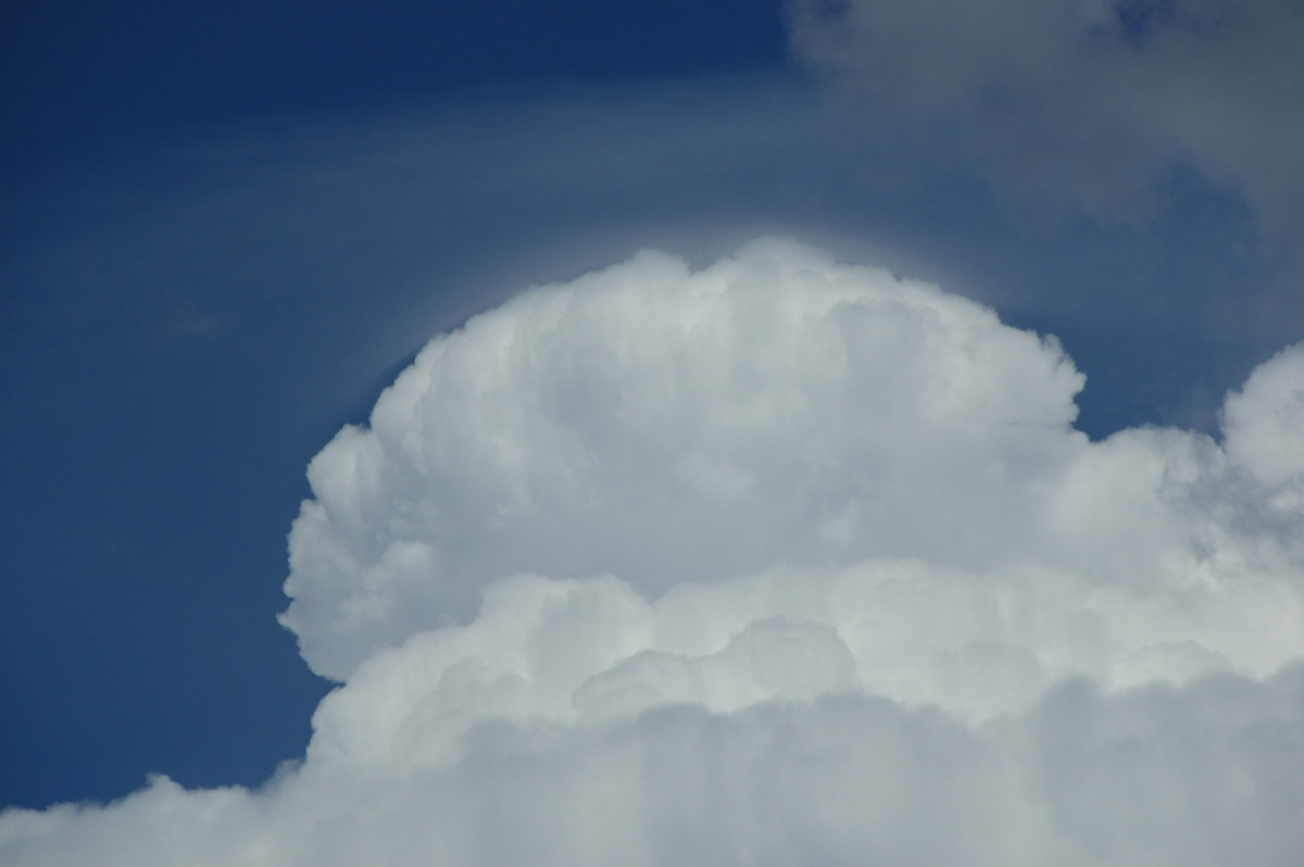 pileus pileus_cap_cloud : Tenterfield, NSW   24 January 2009