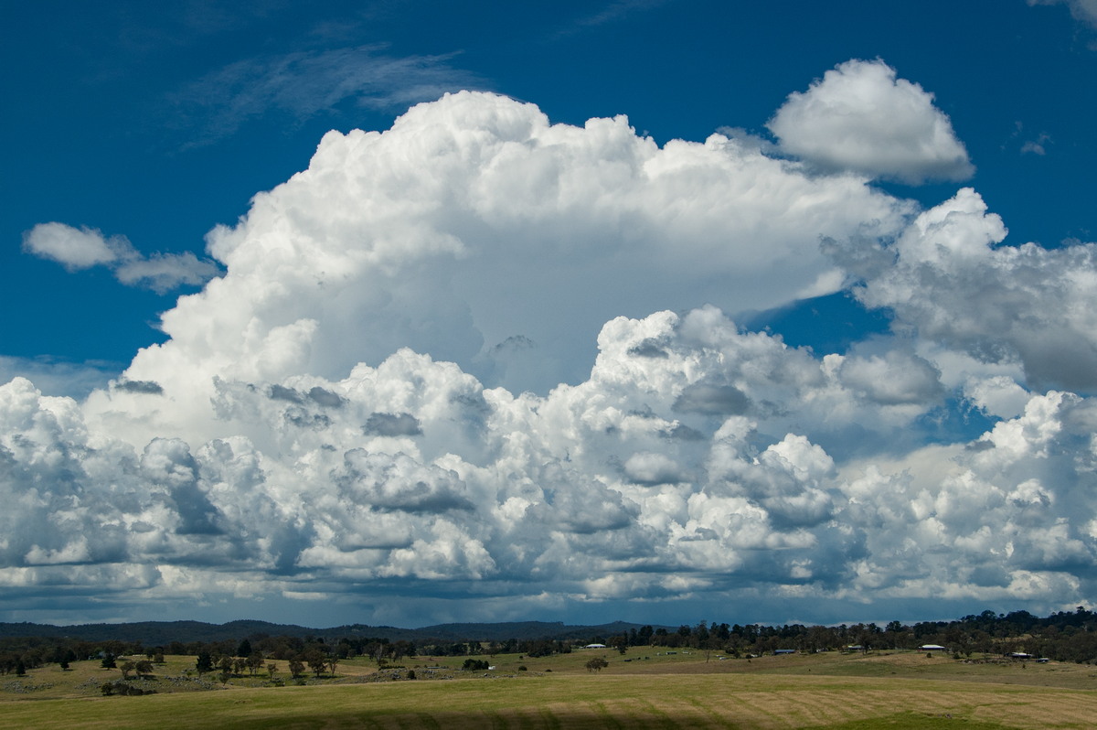 favourites michael_bath : Tenterfield, NSW   24 January 2009