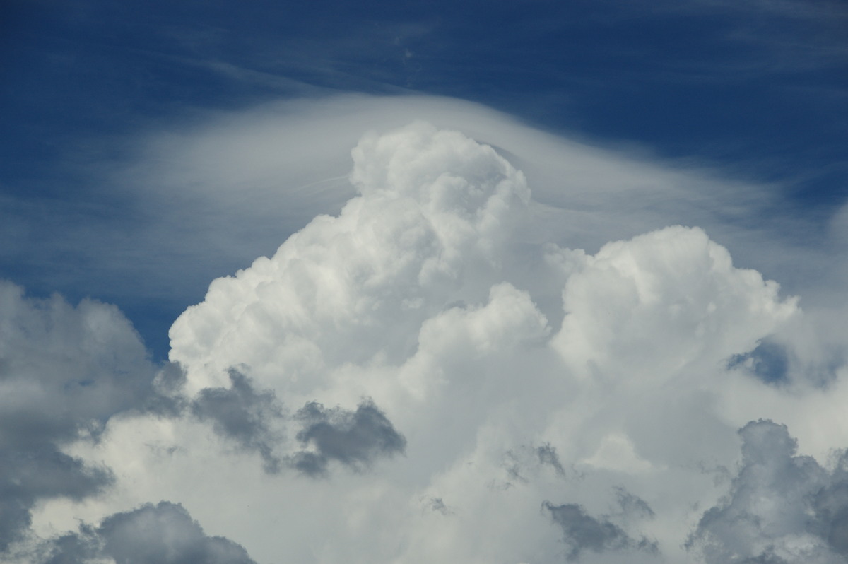 updraft thunderstorm_updrafts : Tenterfield, NSW   24 January 2009