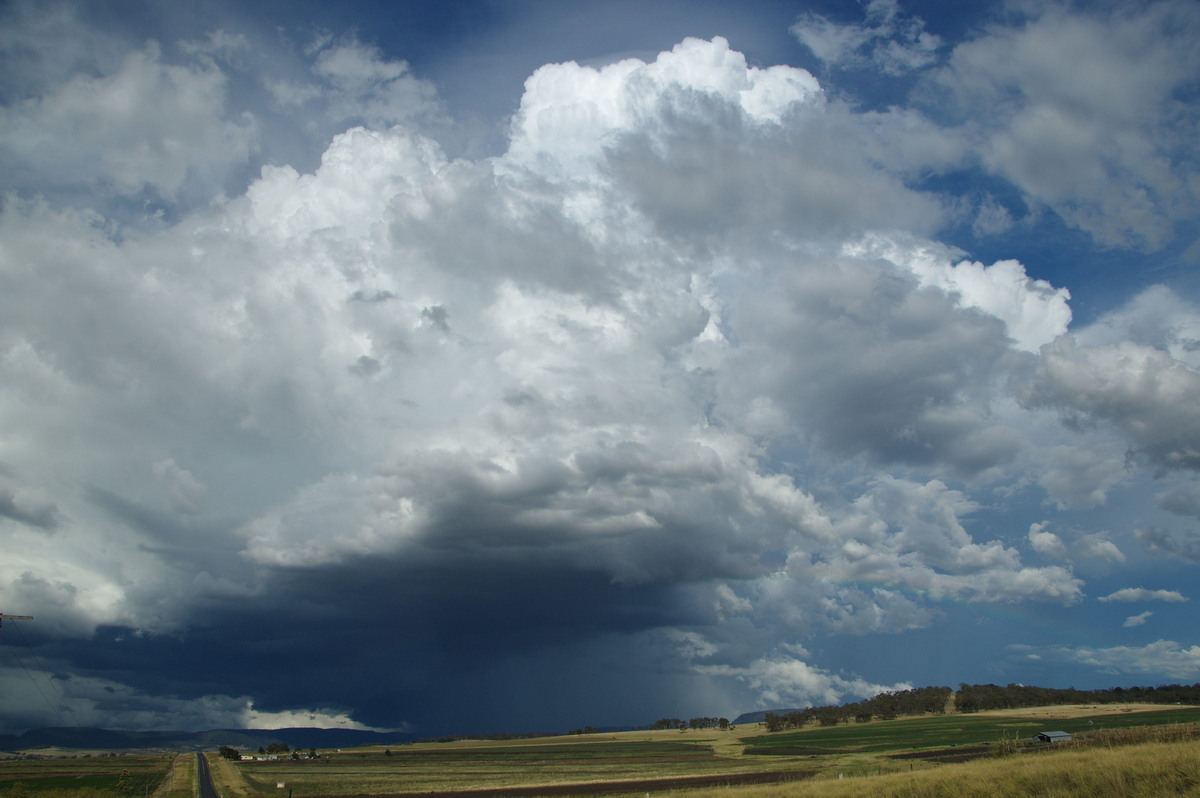 thunderstorm cumulonimbus_calvus : near Warwick, QLD   24 January 2009