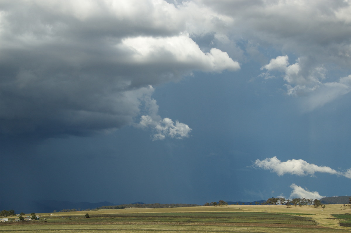 cumulonimbus thunderstorm_base : near Warwick, QLD   24 January 2009