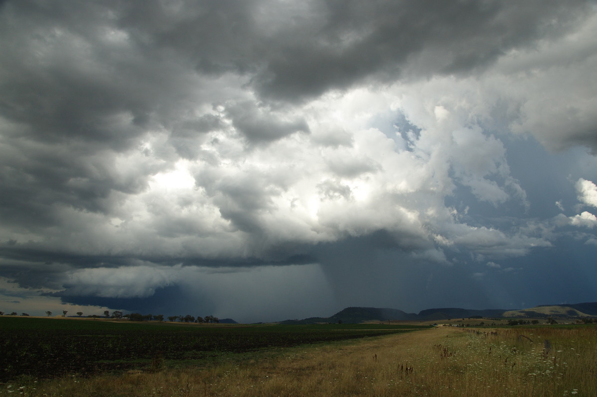 cumulonimbus thunderstorm_base : near Warwick, QLD   24 January 2009