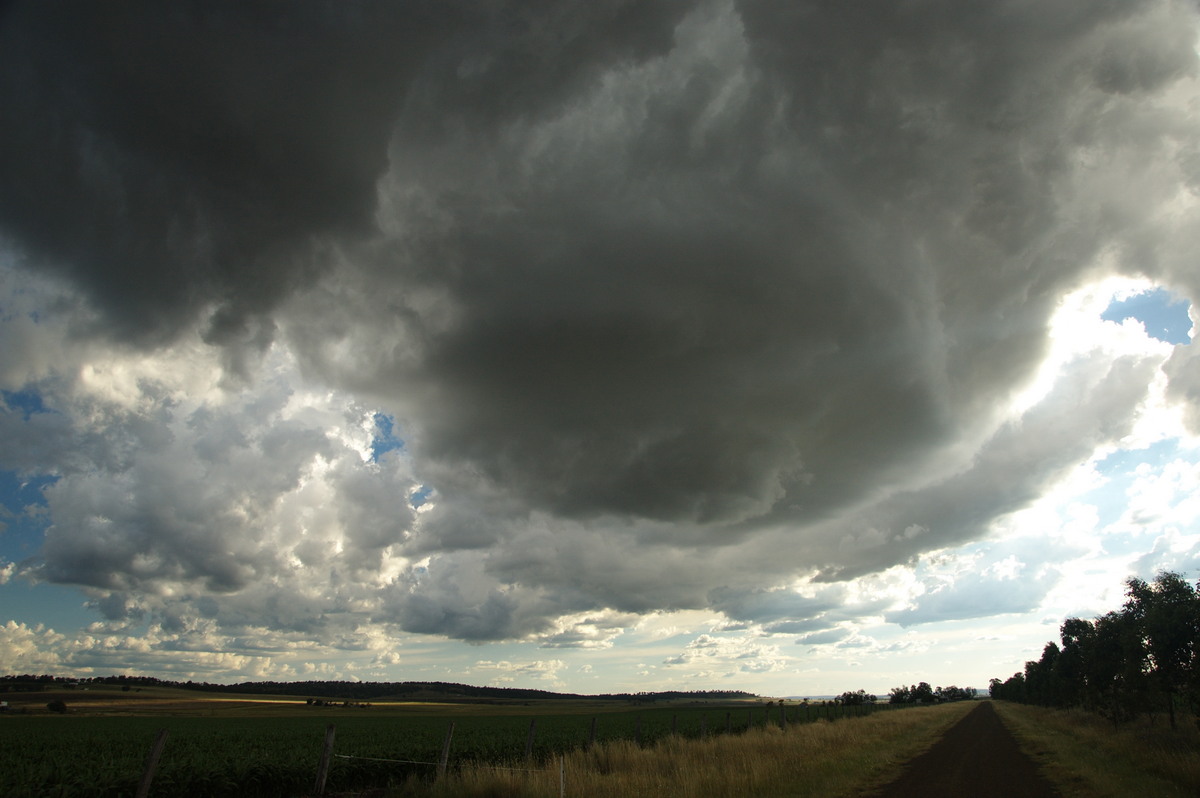 cumulus congestus : near Warwick, QLD   24 January 2009