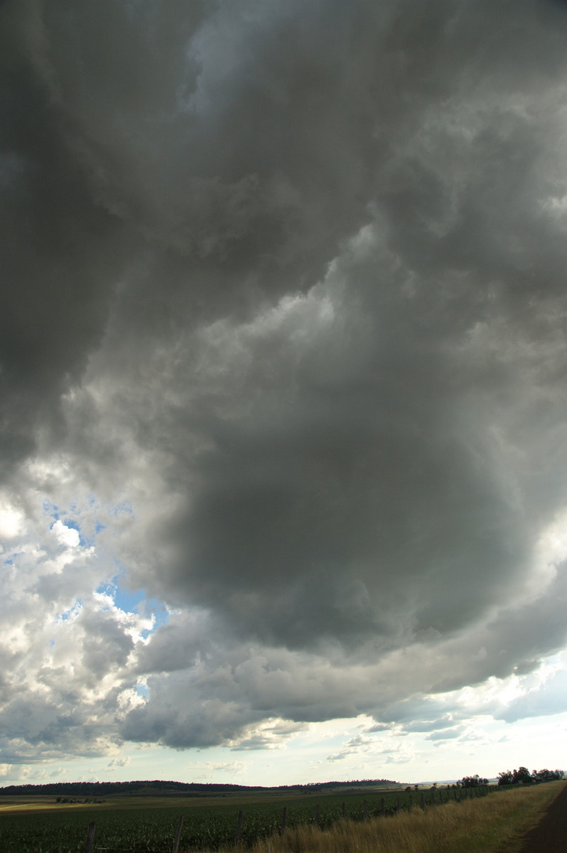 cumulonimbus thunderstorm_base : near Warwick, QLD   24 January 2009