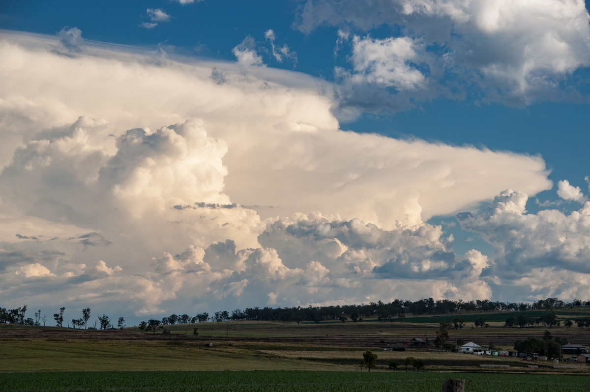 anvil thunderstorm_anvils : near Warwick, QLD   24 January 2009