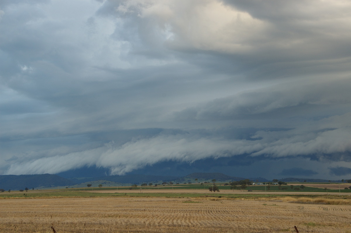 shelfcloud shelf_cloud : near Killarney, QLD   24 January 2009