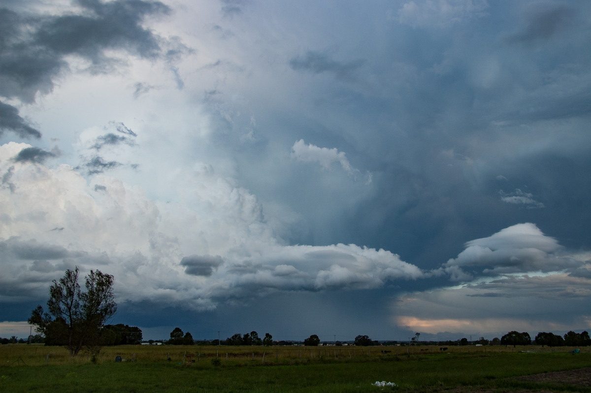 updraft thunderstorm_updrafts : Junction Hill, NSW   15 March 2009