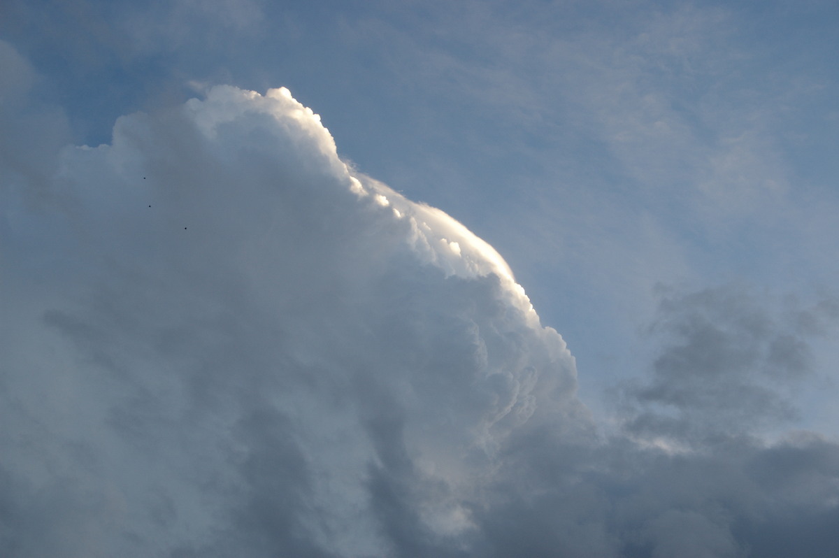 updraft thunderstorm_updrafts : Junction Hill, NSW   15 March 2009