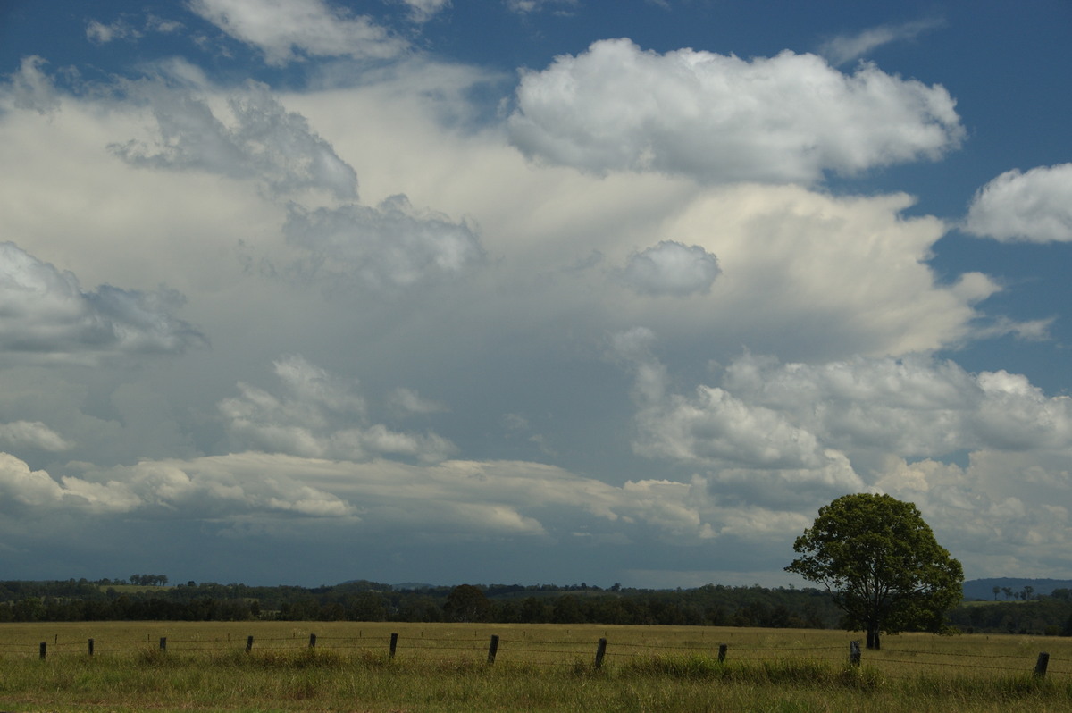 thunderstorm cumulonimbus_incus : N of Casino, NSW   16 March 2009