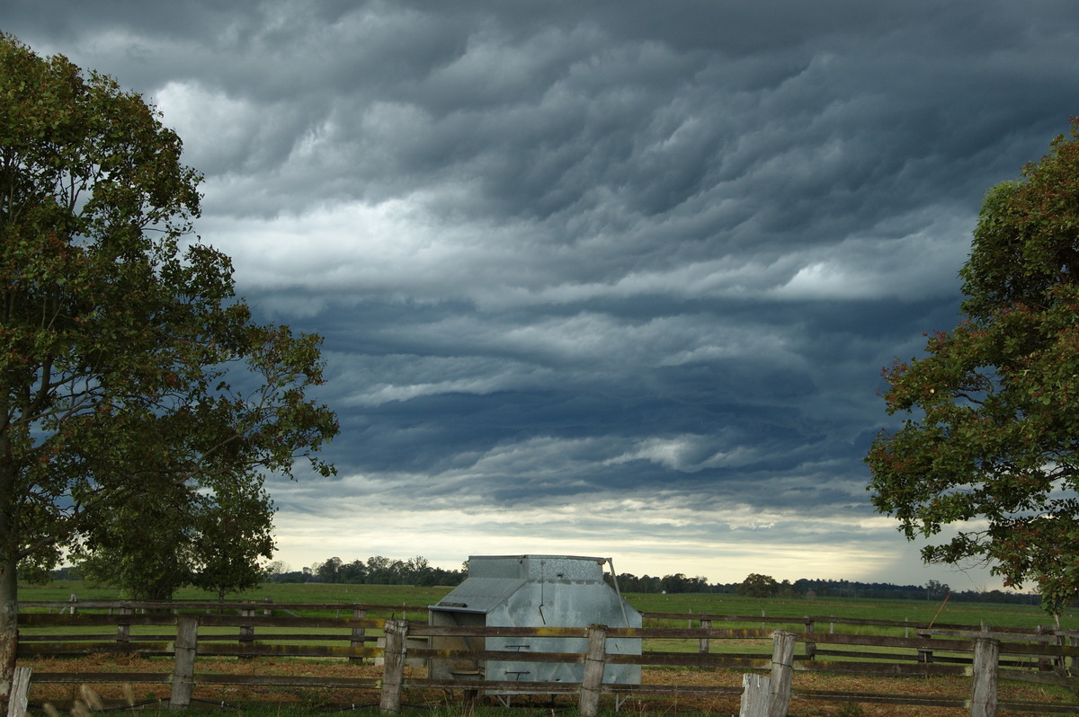 altocumulus altocumulus_cloud : N of Casino, NSW   16 March 2009