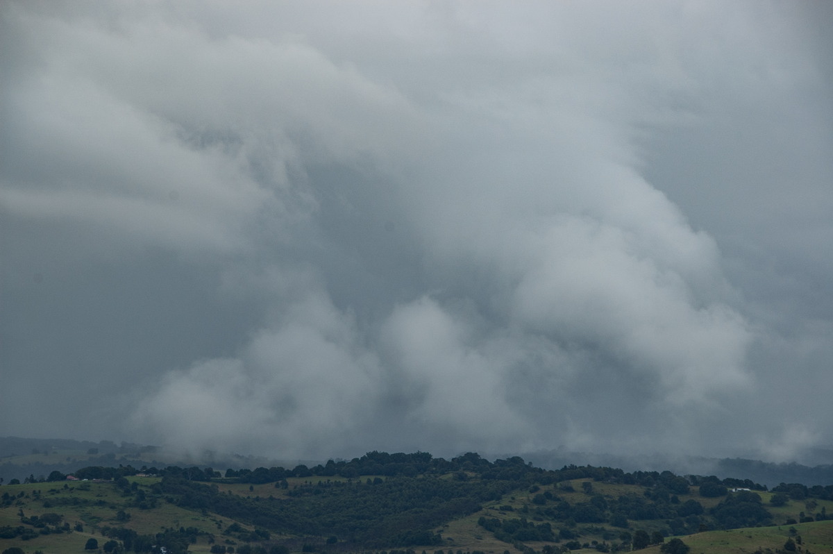 cumulus mediocris : McLeans Ridges, NSW   9 April 2009