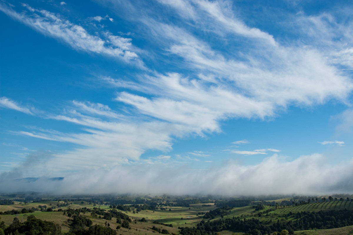 fogmist fog_mist_frost : McLeans Ridges, NSW   15 April 2009