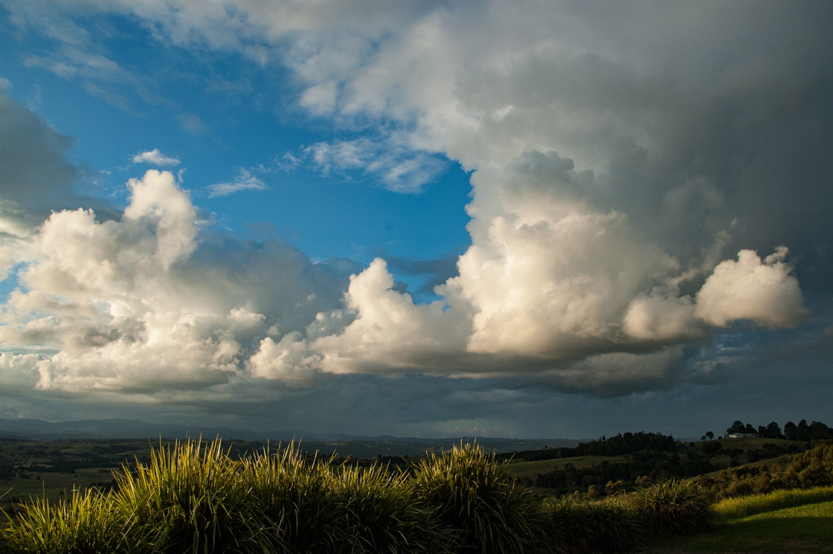 cumulus congestus : McLeans Ridges, NSW   3 May 2009