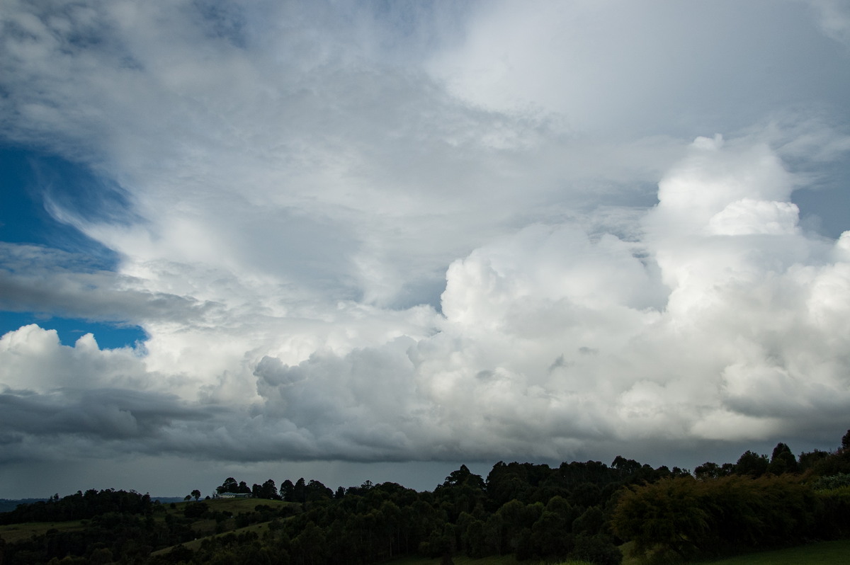 cumulus congestus : McLeans Ridges, NSW   4 May 2009