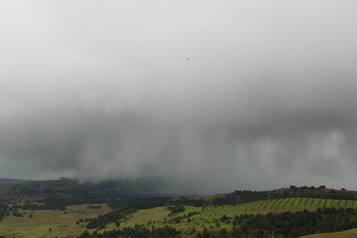 stratocumulus stratocumulus_cloud : McLeans Ridges, NSW   6 May 2009