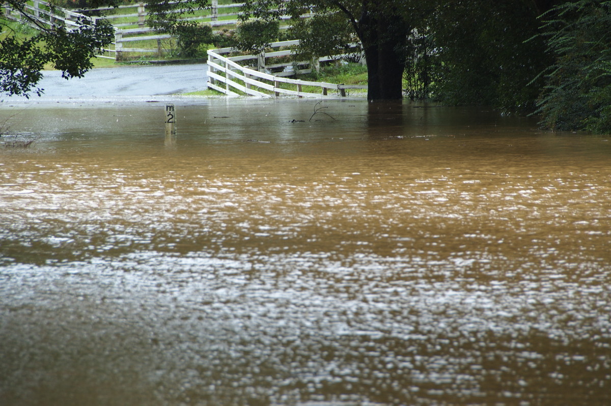 flashflooding flood_pictures : Booyong, NSW   21 May 2009