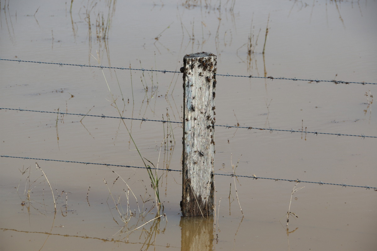 flashflooding flood_pictures : McLeans Ridges, NSW   22 May 2009