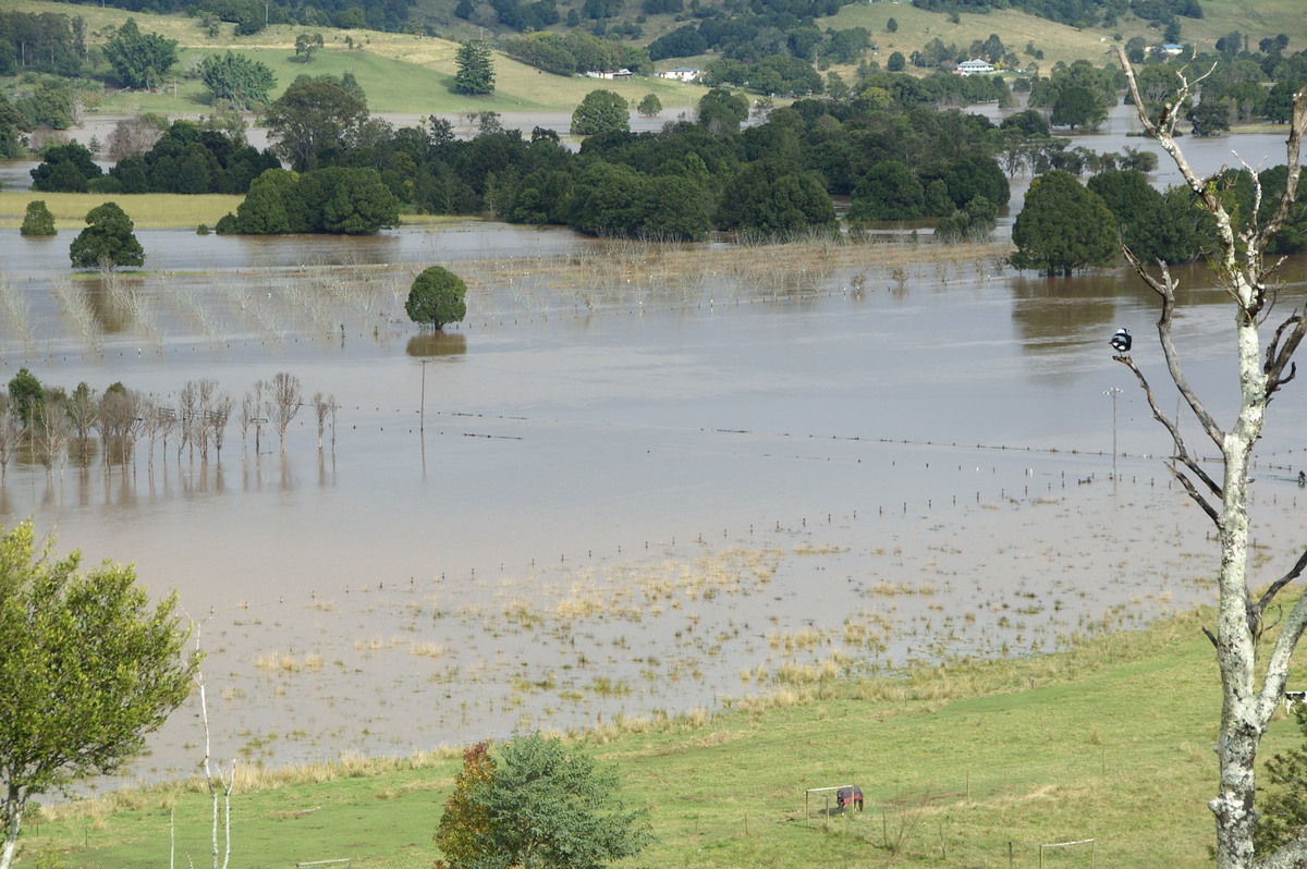 flashflooding flood_pictures : McLeans Ridges, NSW   22 May 2009