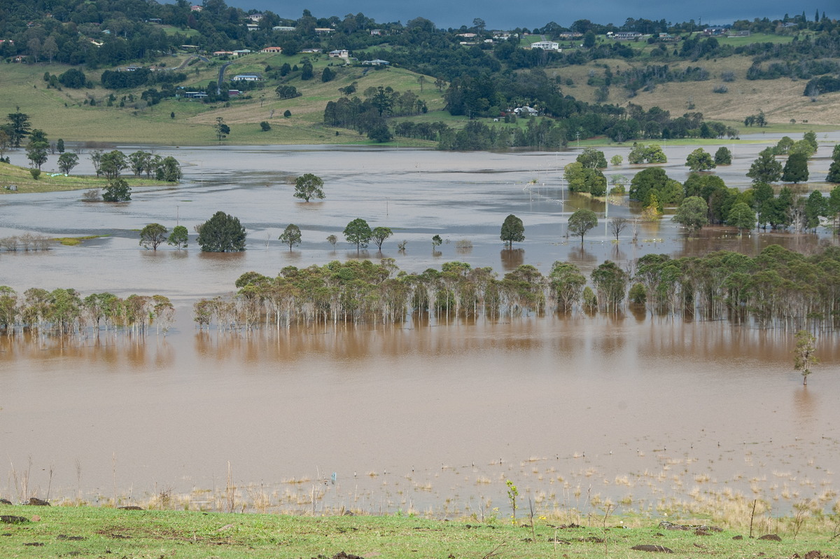 flashflooding flood_pictures : McLeans Ridges, NSW   22 May 2009