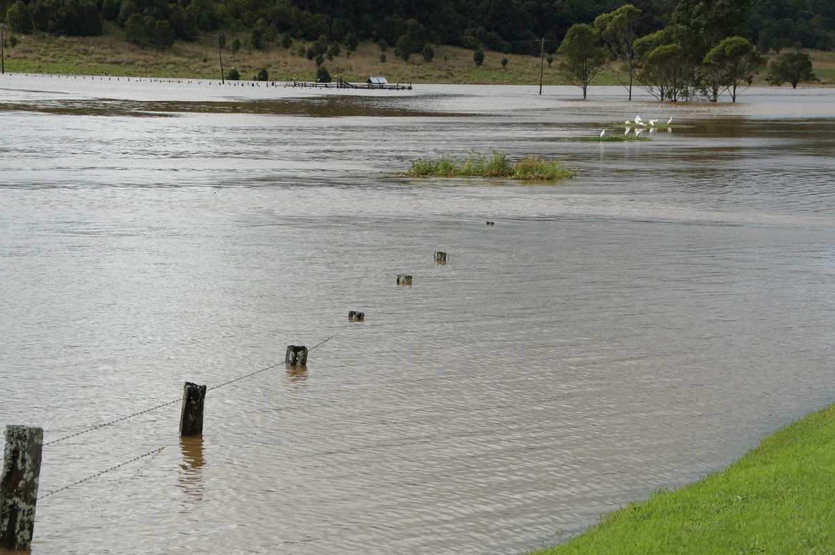 flashflooding flood_pictures : McLeans Ridges, NSW   22 May 2009