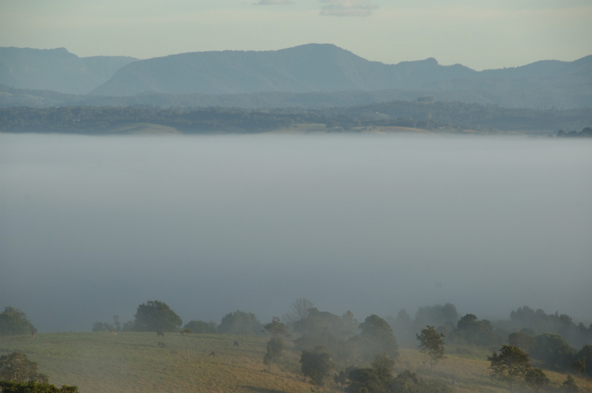 fogmist fog_mist_frost : McLeans Ridges, NSW   28 May 2009