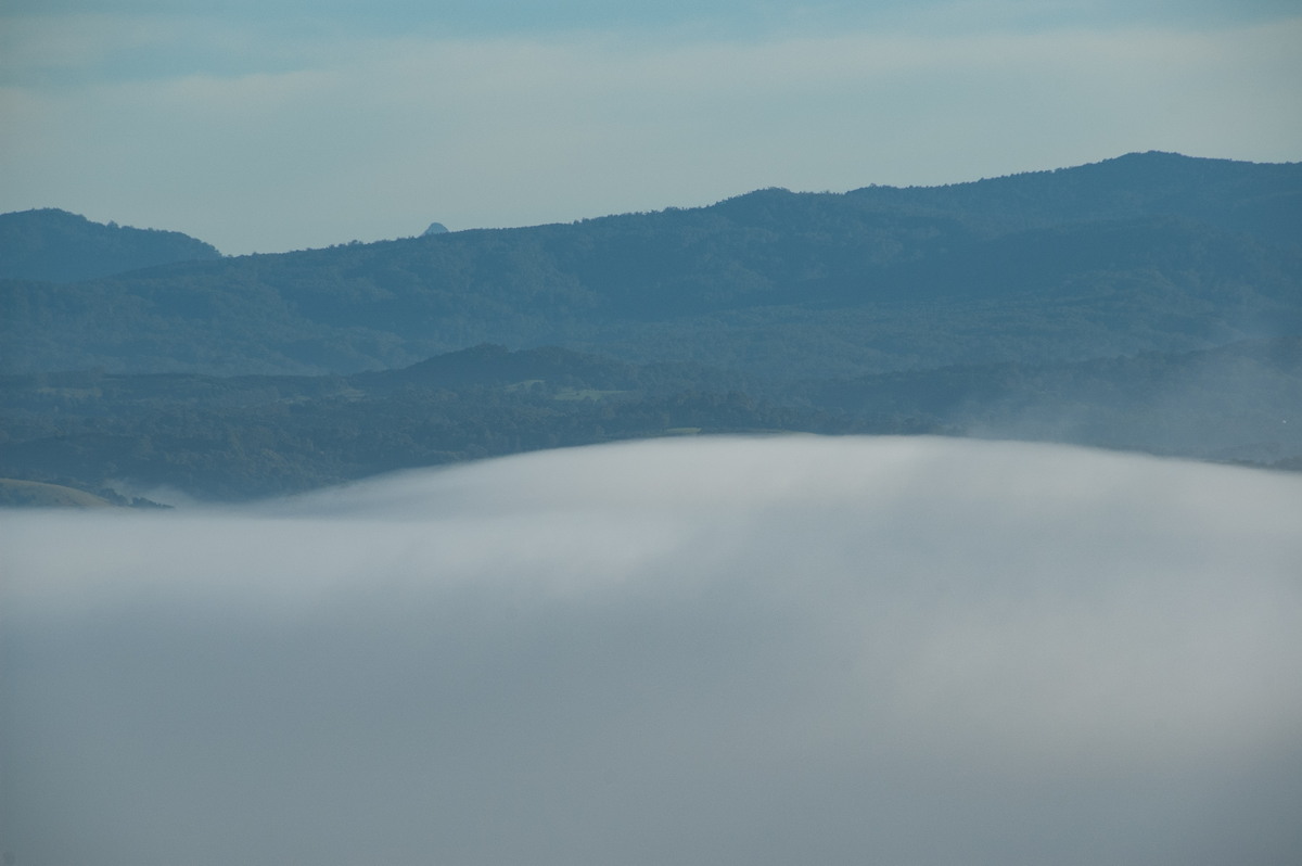 fogmist fog_mist_frost : McLeans Ridges, NSW   28 May 2009