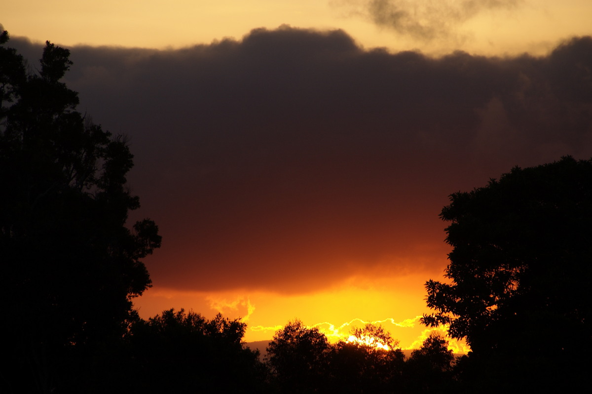 sunset sunset_pictures : McLeans Ridges, NSW   29 May 2009