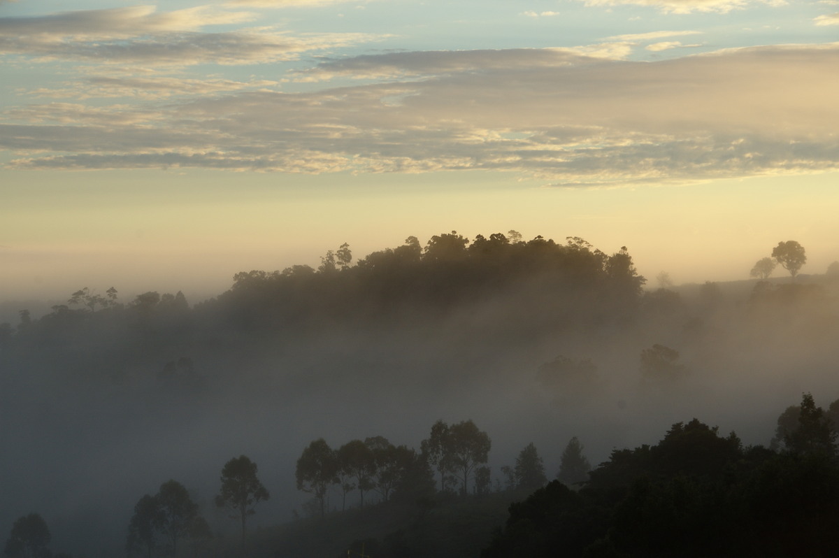 fogmist fog_mist_frost : McLeans Ridges, NSW   5 June 2009