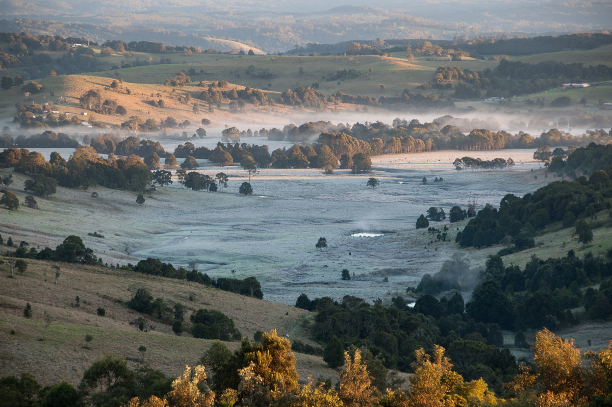 fogmist fog_mist_frost : McLeans Ridges, NSW   12 June 2009