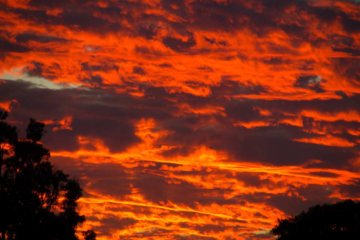 sunset sunset_pictures : McLeans Ridges, NSW   14 June 2009