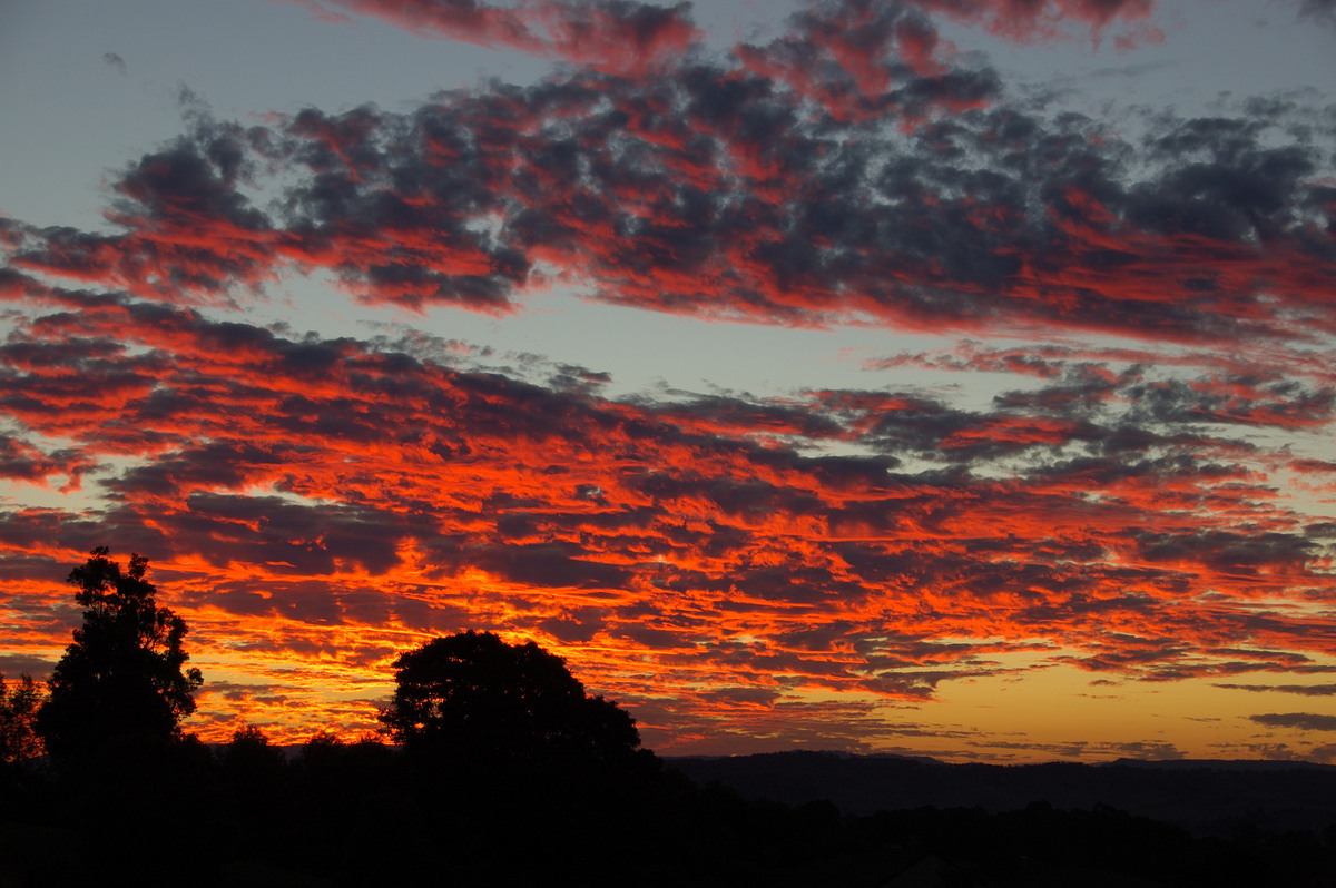 sunset sunset_pictures : McLeans Ridges, NSW   14 June 2009