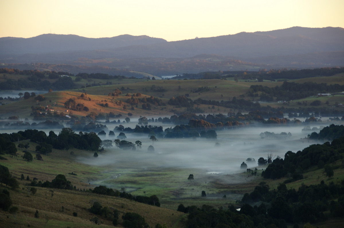 fogmist fog_mist_frost : McLeans Ridges, NSW   16 June 2009