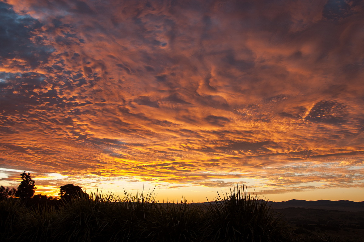 sunset sunset_pictures : McLeans Ridges, NSW   30 June 2009