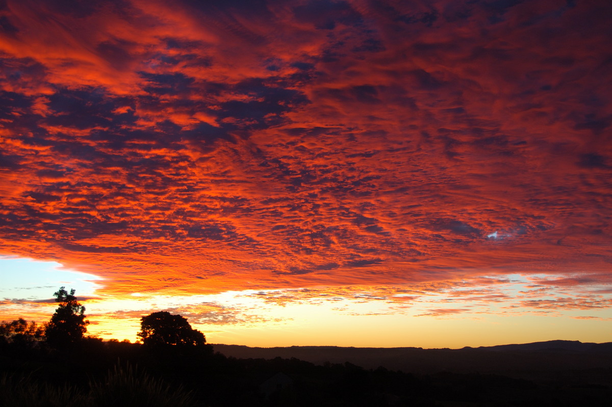 sunset sunset_pictures : McLeans Ridges, NSW   30 June 2009