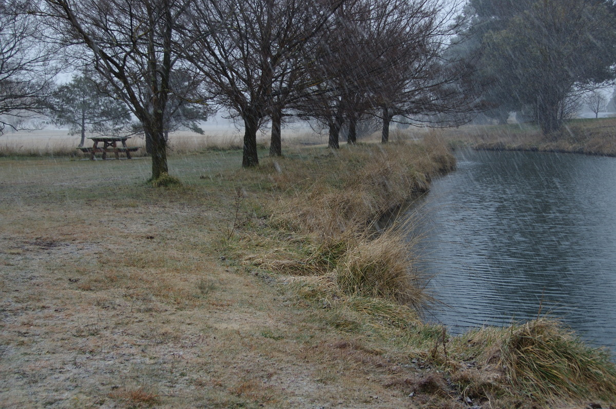 precipitation precipitation_rain : Guyra, NSW   15 July 2009