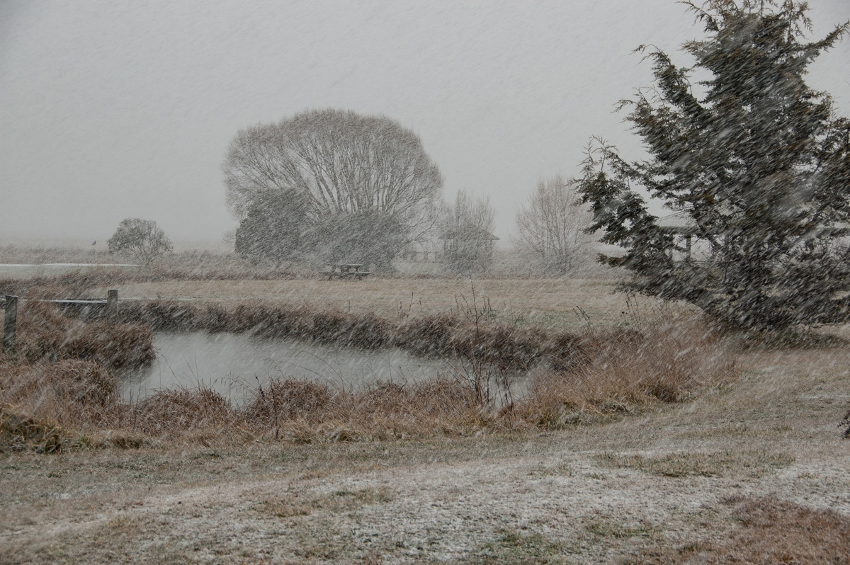 precipitation precipitation_rain : Guyra, NSW   15 July 2009