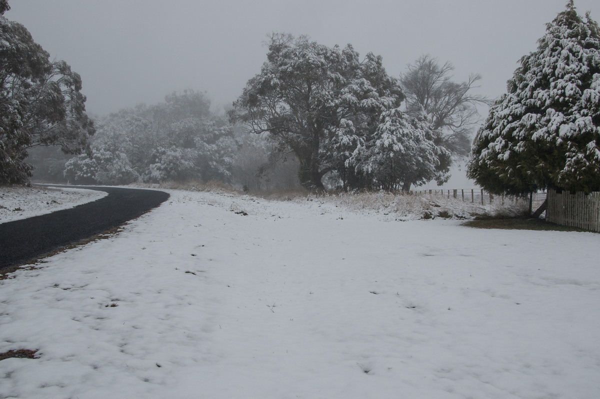 favourites michael_bath : Ben Lomond, NSW   16 July 2009