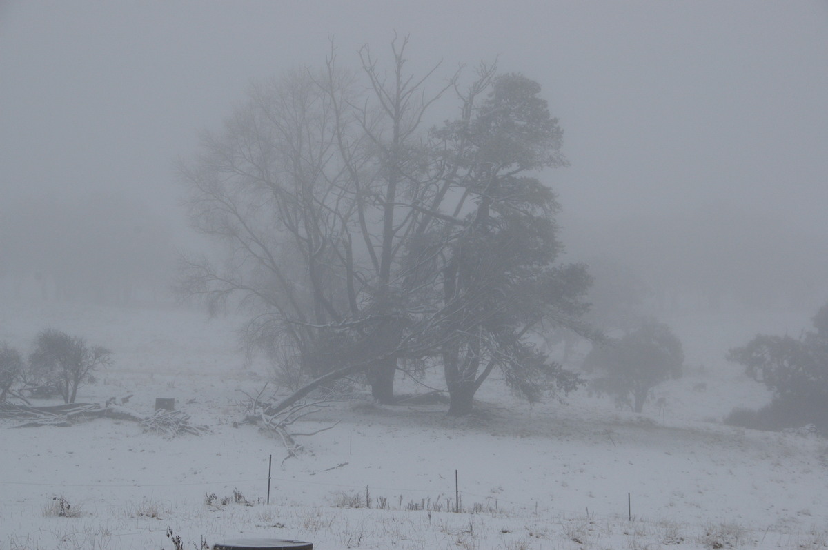 precipitation precipitation_rain : Ben Lomond, NSW   16 July 2009