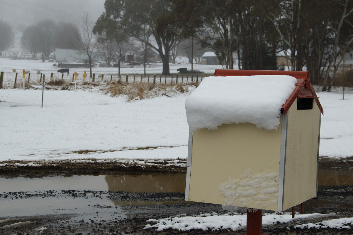 snow snow_pictures : Ben Lomond, NSW   16 July 2009