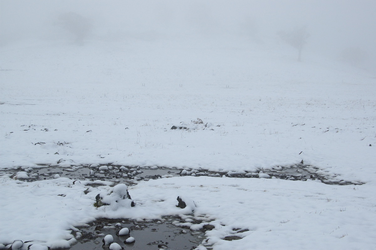 snow snow_pictures : Maybole, NSW   16 July 2009