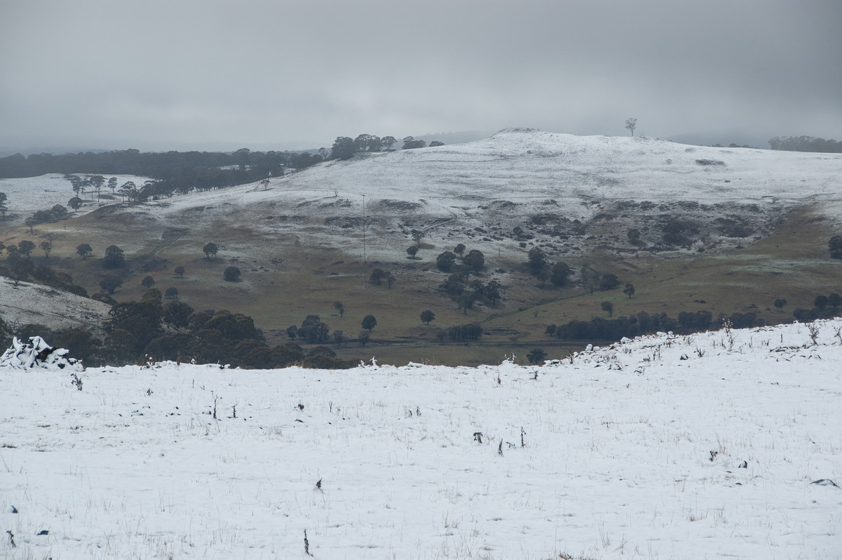 snow snow_pictures : Maybole, NSW   16 July 2009