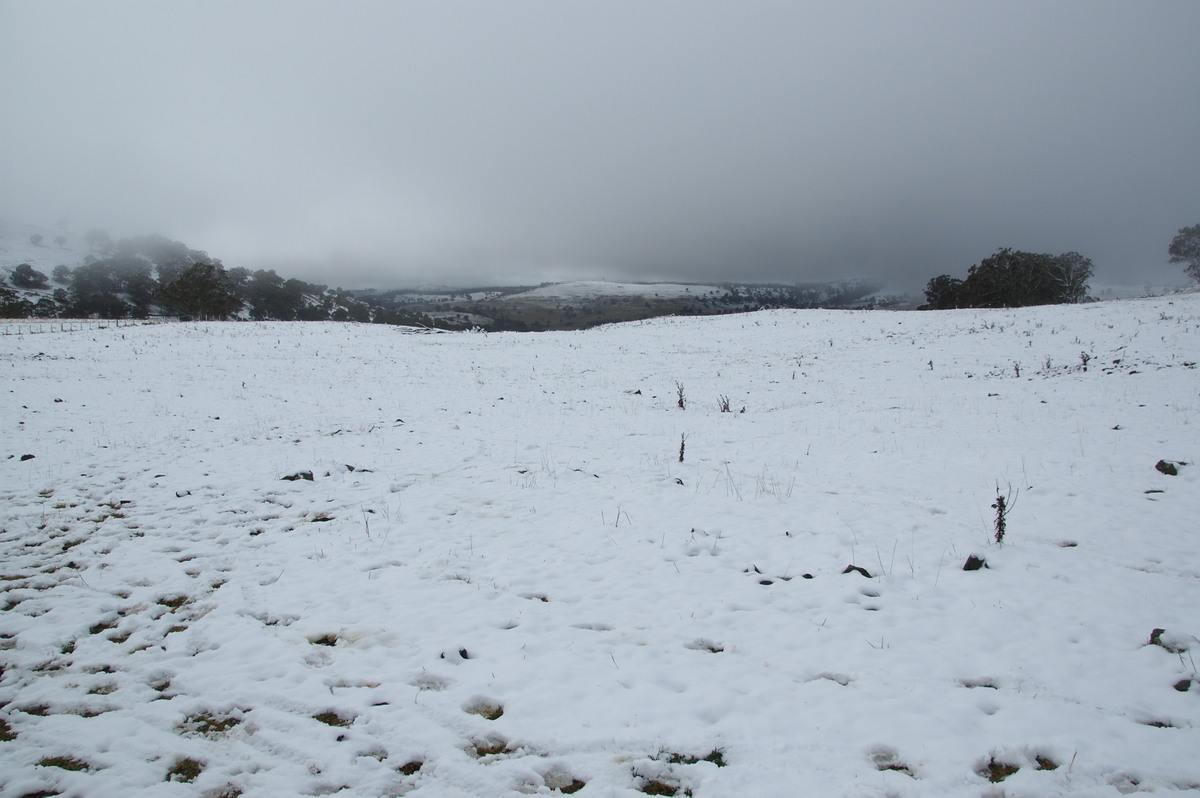 snow snow_pictures : Maybole, NSW   16 July 2009