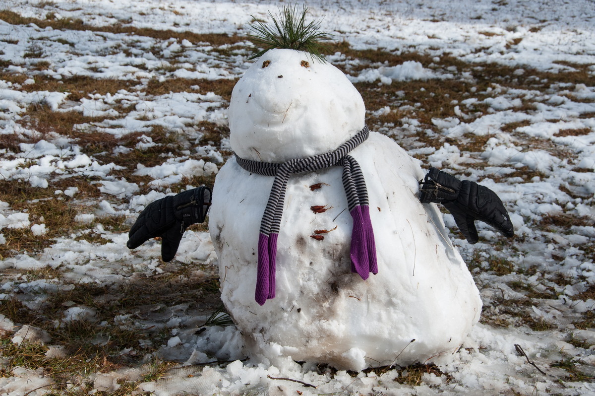 snow snow_pictures : Ben Lomond, NSW   16 July 2009