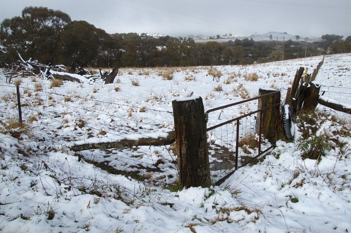 snow snow_pictures : Maybole, NSW   16 July 2009