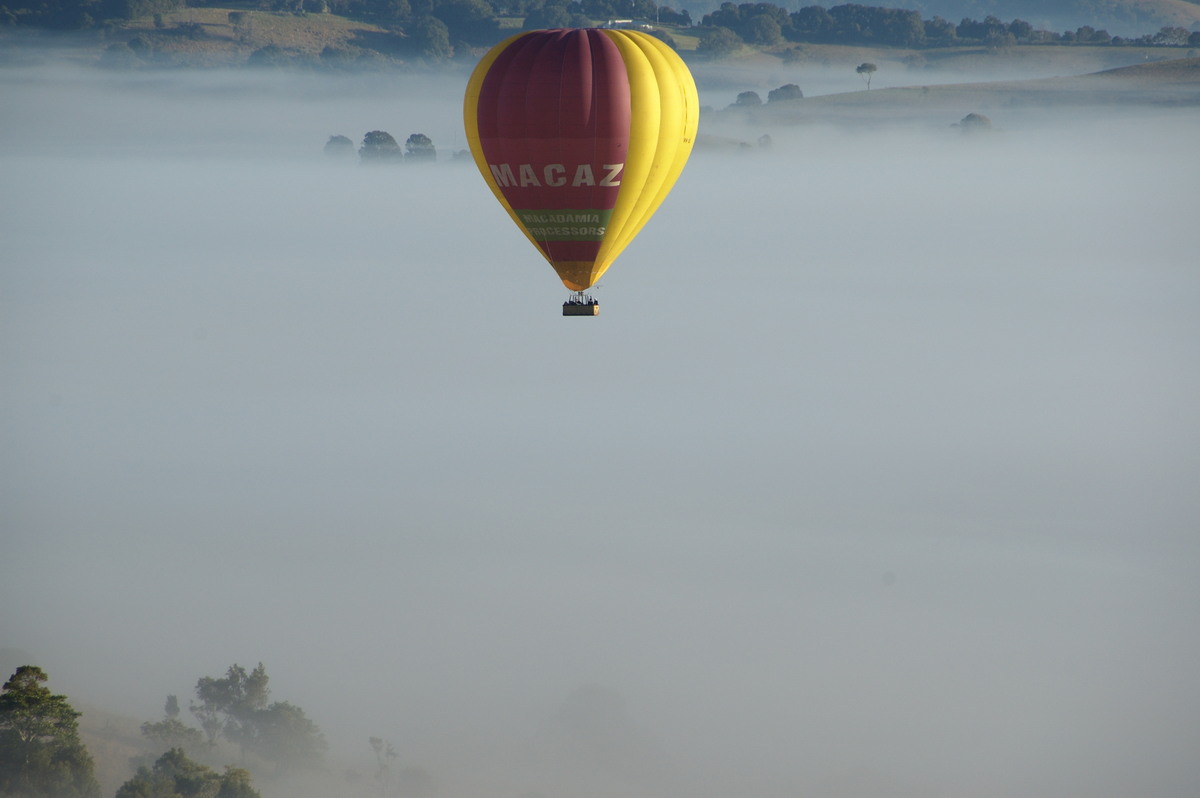 fogmist fog_mist_frost : McLeans Ridges, NSW   3 August 2009