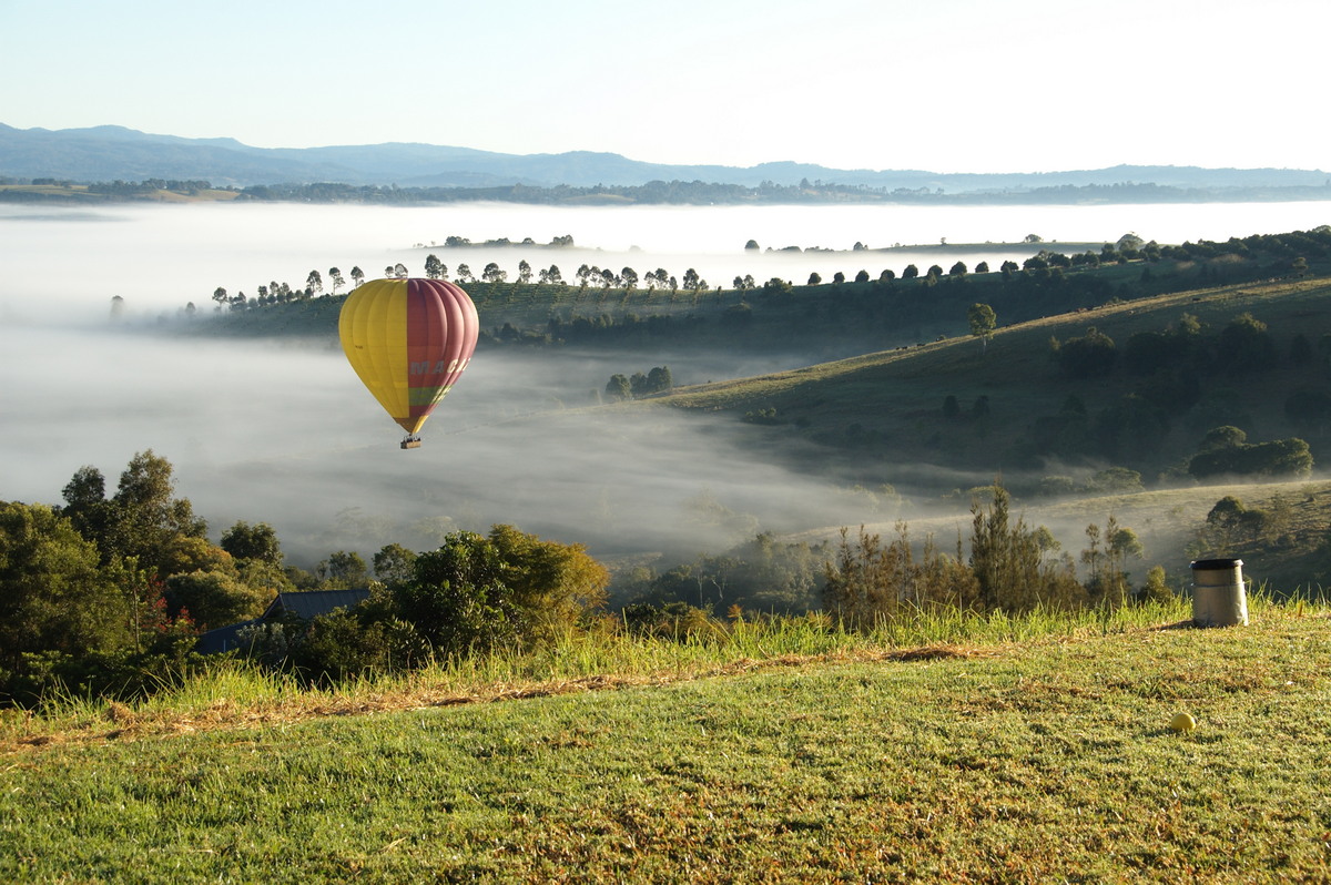 fogmist fog_mist_frost : McLeans Ridges, NSW   3 August 2009