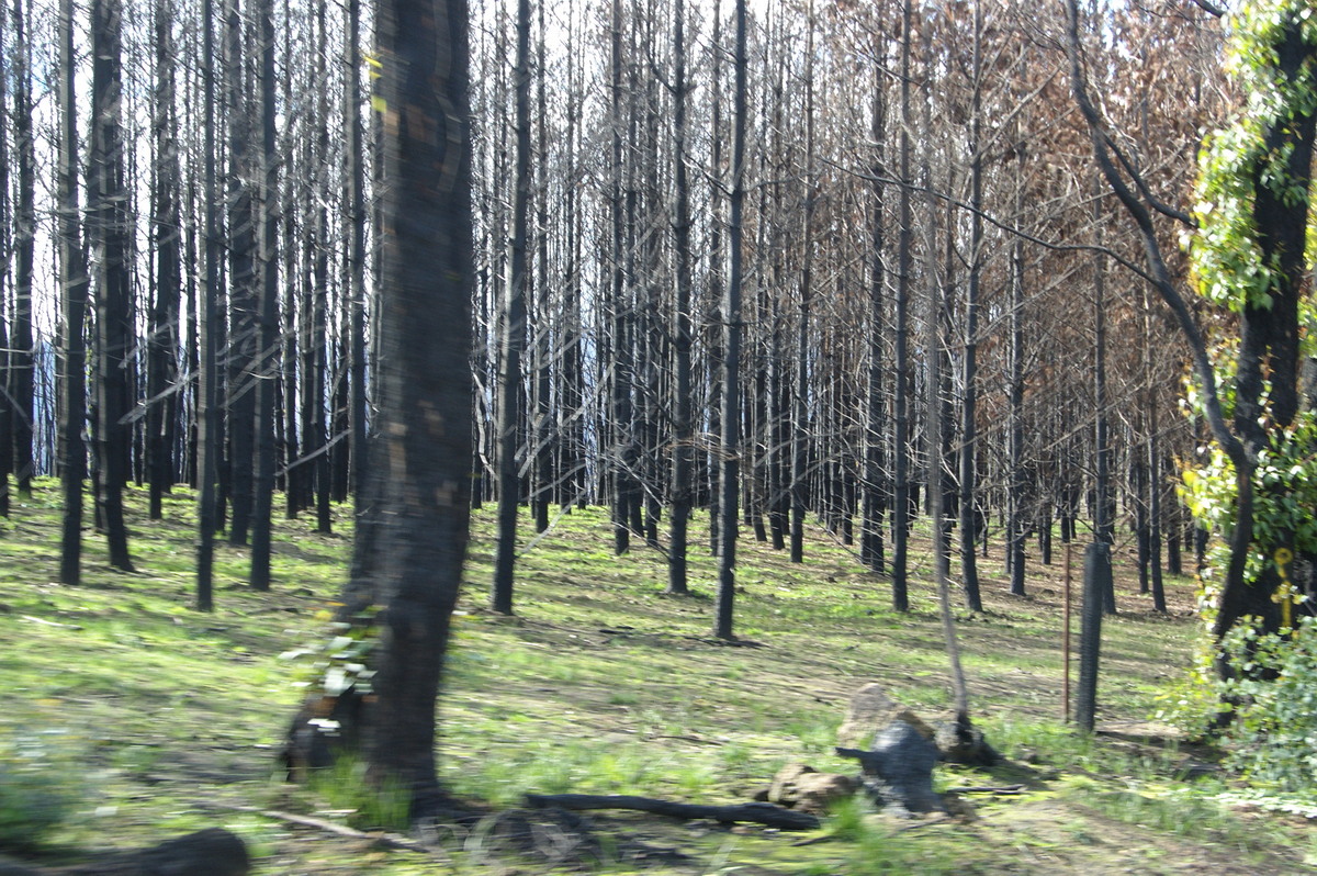 bushfire wild_fire : Strathewen, VIC   5 August 2009