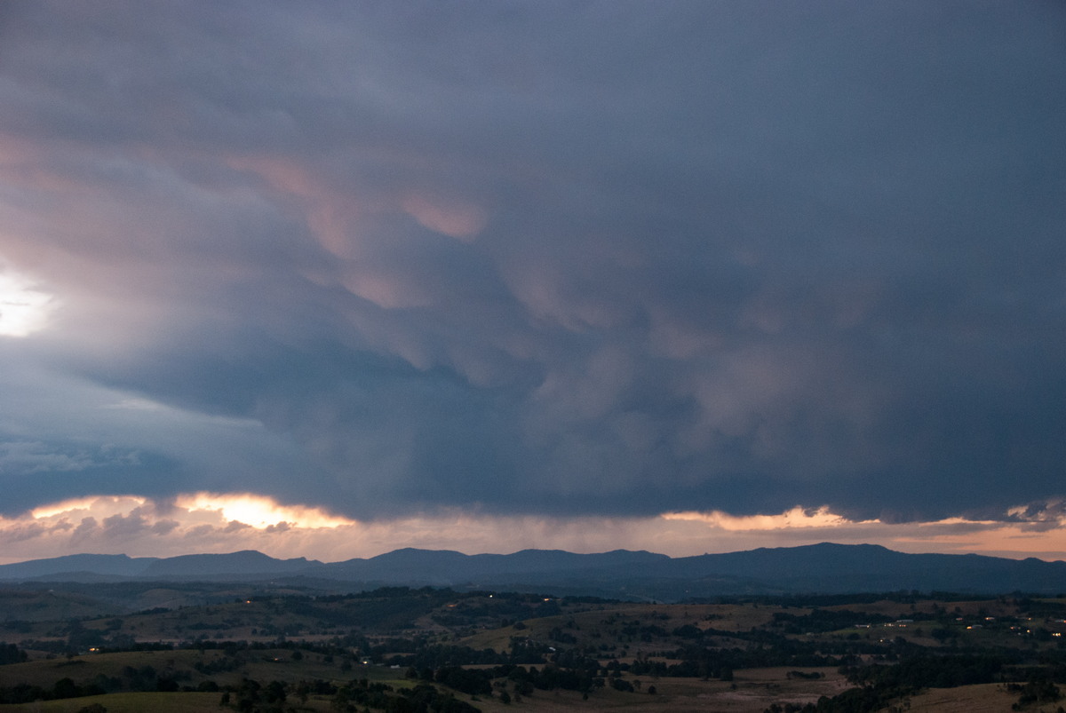 favourites michael_bath : McLeans Ridges, NSW   12 August 2009